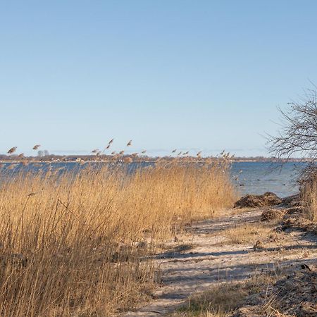 Ferienhaus vor Rügen Sundhagen-Niederhof Exterior foto