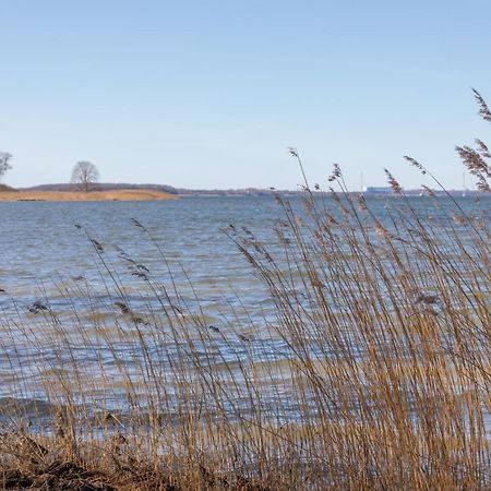 Ferienhaus vor Rügen Sundhagen-Niederhof Exterior foto